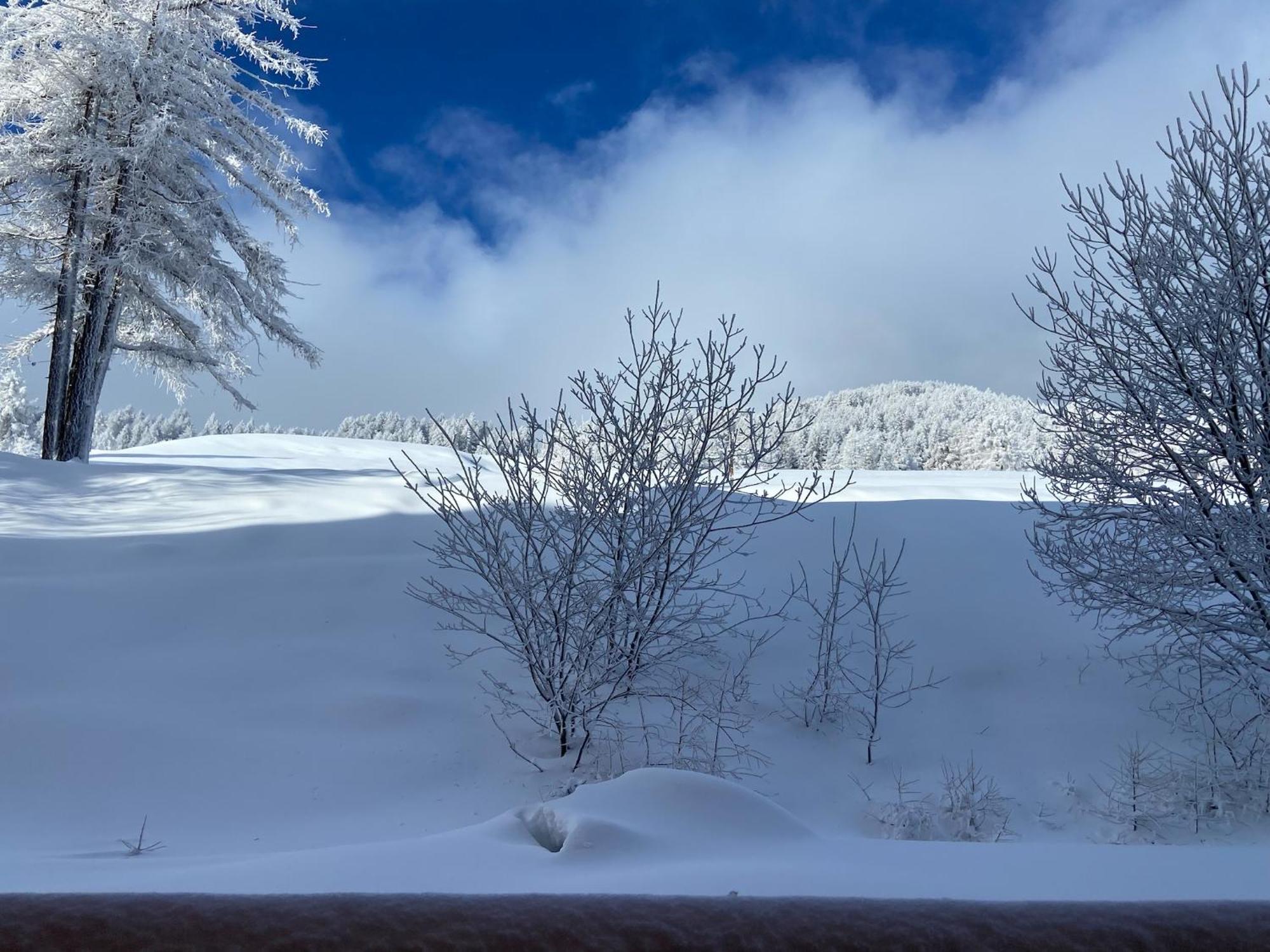 Pied Des Pistes, 2 Pieces, 6Pers, Piscine Et Sauna Risoul Kültér fotó